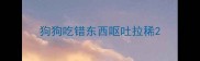 狗狗吃错东西呕吐拉稀