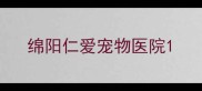 绵阳仁爱宠物医院