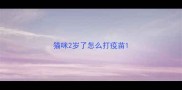 猫咪2岁了怎么打疫苗