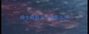 哈士奇跟主人犟怎么办