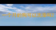 一个月的狗可以洗澡吗