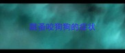跳蚤咬狗狗的症状
