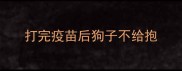 打完疫苗后狗子不给抱