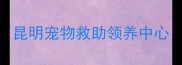 昆明宠物救助领养中心
