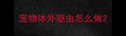 宠物体外驱虫怎么做