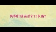 狗狗打疫苗后针口长癣