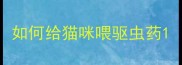 如何给猫咪喂驱虫药