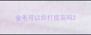 金毛可以你打疫苗吗