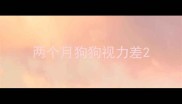 两个月狗狗视力差