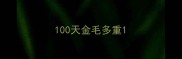 100天金毛多重