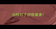 边牧打了伊维菌素