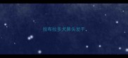拉布拉多犬鼻头发干