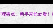 狗狗打疫苗后必须知道的7大护理要点新手家长必看疫苗反应处理与恢复期全攻略