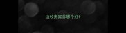 边牧贵宾养哪个好