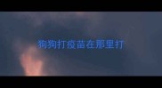 狗狗打疫苗在那里打