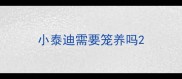 小泰迪需要笼养吗