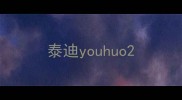 泰迪youhuo