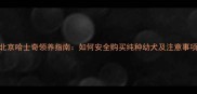 北京哈士奇领养指南如何安全购买纯种幼犬及注意事项