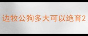 边牧公狗多大可以绝育