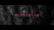 养拉布拉多怎么好看