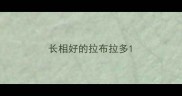 长相好的拉布拉多