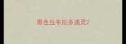 黑色拉布拉多通灵