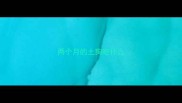 两个月的土狗吃什么