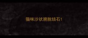 猫咪沙状膀胱结石