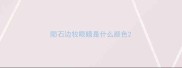 陨石边牧眼睛是什么颜色