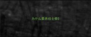 为什么要养哈士奇