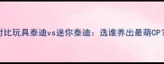 泰迪犬品种深度对比玩具泰迪vs迷你泰迪选谁养出最萌CP附饲养避坑指南