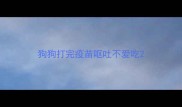 狗狗打完疫苗呕吐不爱吃