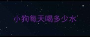 小狗每天喝多少水