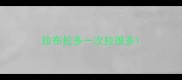 拉布拉多一次拉很多