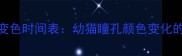 小猫眼睛变色时间表幼猫瞳孔颜色变化的科学规律