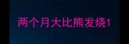 两个月大比熊发烧