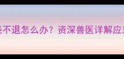 猫三联疫苗后高烧不退怎么办资深兽医详解应对措施与护理指南
