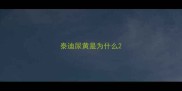 泰迪尿黄是为什么