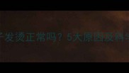 哈士奇鼻子发烫正常吗5大原因及科学应对指南
