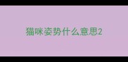 猫咪姿势什么意思