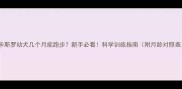 卡斯罗幼犬几个月能跑步新手必看科学训练指南附月龄对照表