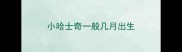 小哈士奇一般几月出生