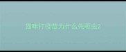 猫咪打疫苗为什么先驱虫
