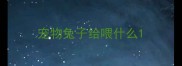 宠物兔子给喂什么