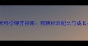 75天金毛幼犬科学喂养指南狗粮标准配比与成长关键期管理