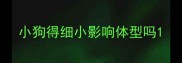 小狗得细小影响体型吗