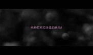 纯种拉布拉多是白色吗