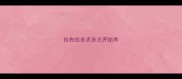 拉布拉多犬多大开始养