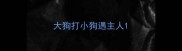 大狗打小狗遇主人
