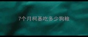 7个月柯基吃多少狗粮